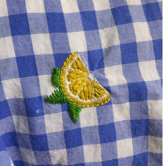 Talbots Blue Cotton Gingham Lemon Embroidered Knee Length Shift Dress Sz 6 - Picture 5 of 7